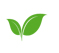 Feuillage
de la plante de la réunion