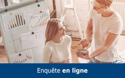 Enquête entreprise en ligne