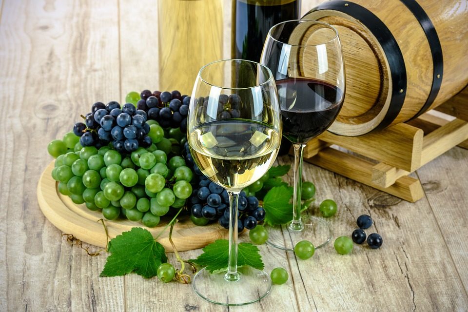 Valoriser et promouvoir la filière vinicole Bio et Biodynamique
