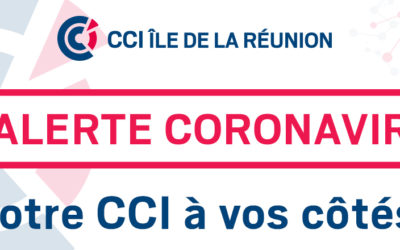 Flash actualité COVID-19 – Bulletin Web du 24/03/2020 : Décrets, arrêtés.