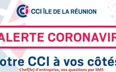 Chef(fe) d&rsquo;entreprise, vos questions par SMS