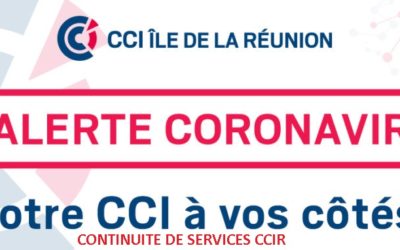 INFORMATION – ACCUEIL DU PUBLIC – SITES DE LA CCIR