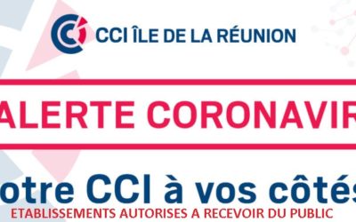 LES ETABLISSEMENTS AUTORISES A RECEVOIR DU PUBLIC