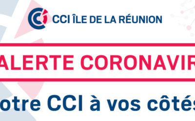 MARCHANDISES A DESTINATION DE MAYOTTE