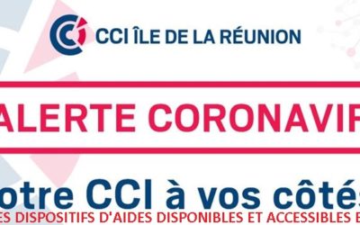 DISPOSITIFS D&rsquo;AIDES AUX ENTREPRISES DISPONIBLES ET ACCESSIBLES EN LIGNE