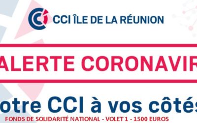 FONDS DE SOLIDARITÉ NATIONAL – VOLET 1 – 1500 EUROS