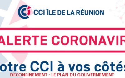 DECONFINEMENT : LE PLAN DU GOUVERNEMENT
