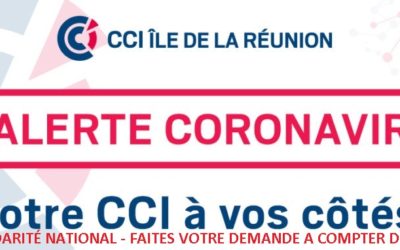 FONDS DE SOLIDARITÉ NATIONAL – FAITES VOTRE DEMANDE A COMPTER DU 1ER MAI 2020