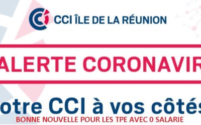 BONNE NOUVELLE POUR LES TPE AVEC 0 SALARIE