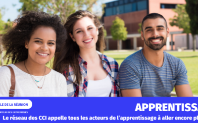 PROLONGATION DE L’AIDE EXCEPTIONNELLE AUX EMPLOYEURS EMBAUCHANT DES ALTERNANTS