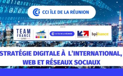 Stratégie digitale à l&rsquo;International, web et réseaux sociaux