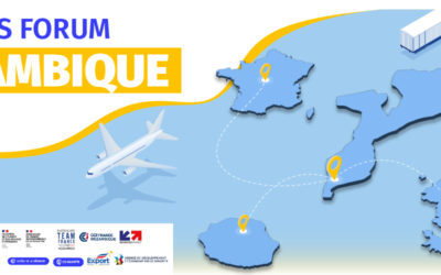 Forum Business Mozambique