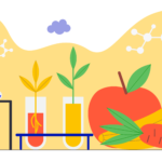 [Formation] Hygiène et Sécurité des aliments en transformation alimentaire