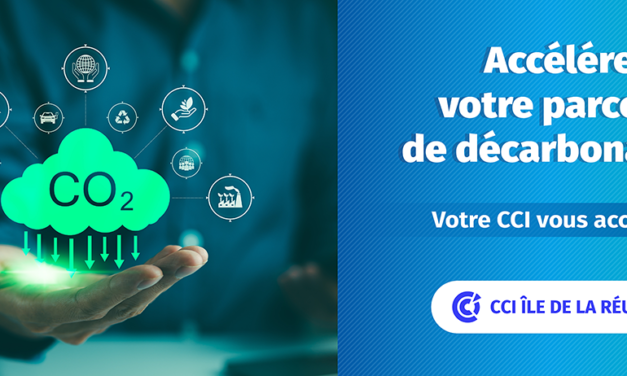 Chef(fe)s d’entreprise : accélérez votre décarbonation avec la CCI Réunion !