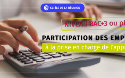 Participation des employeurs à la prise en charge de l’apprentissage