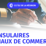 ELECTIONS DES JUGES CONSULAIRES DES TRIBUNAUX DE COMMERCE 2026
