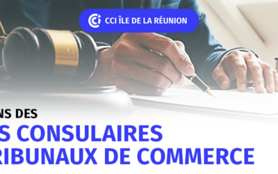 ELECTIONS DES JUGES CONSULAIRES DES TRIBUNAUX DE COMMERCE 2026