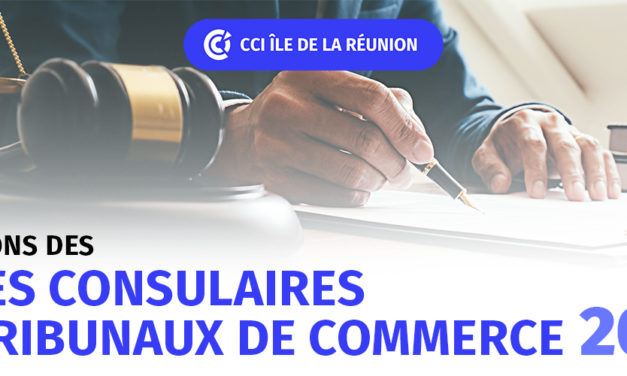 ELECTIONS DES JUGES CONSULAIRES DES TRIBUNAUX DE COMMERCE 2025