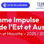 Programme Impulse Afrique 2025/2026