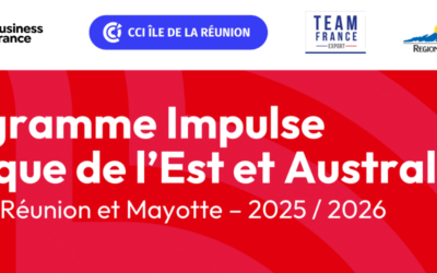 Programme Impulse Afrique 2025/2026