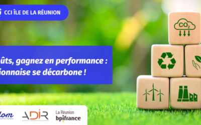 ATELIER « Réduisez vos coûts, gagnez en performance : l’industrie réunionnaise se décarbone »