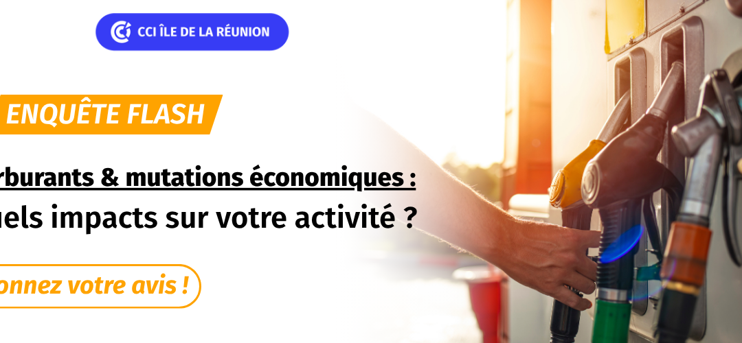 Enquête Flash : Carburants & Mutations économiques