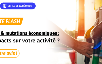 Enquête Flash : Carburants & Mutations économiques