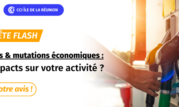 Enquête Flash : Carburants & Mutations économiques