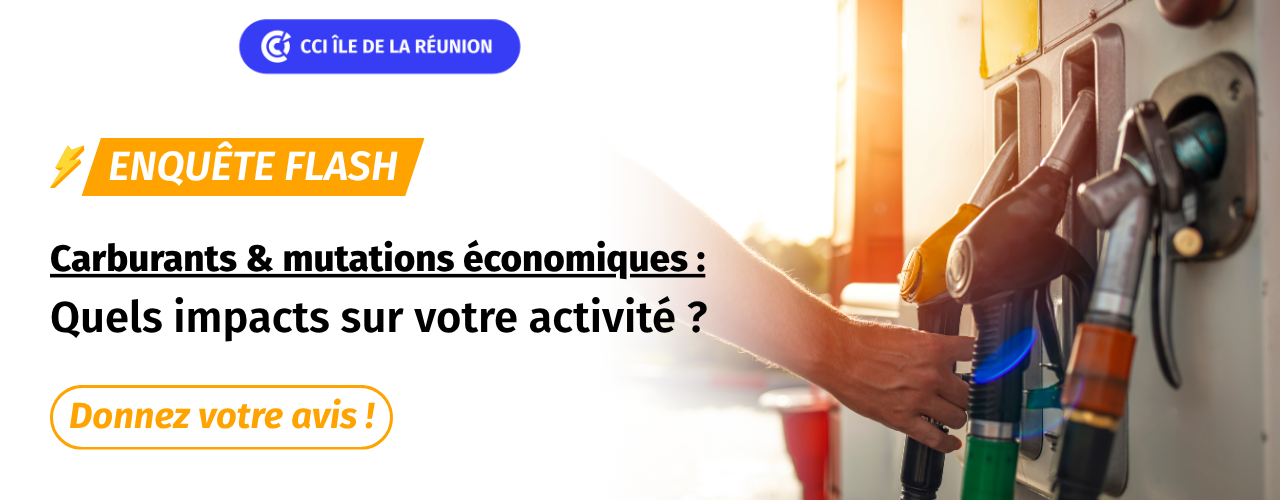 Enquête Flash : Carburants & Mutations économiques